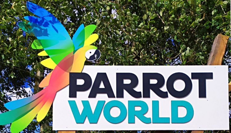 parrot world avis